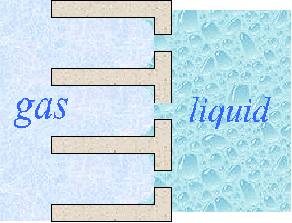 Schematic of the three phase interface at the electrode
