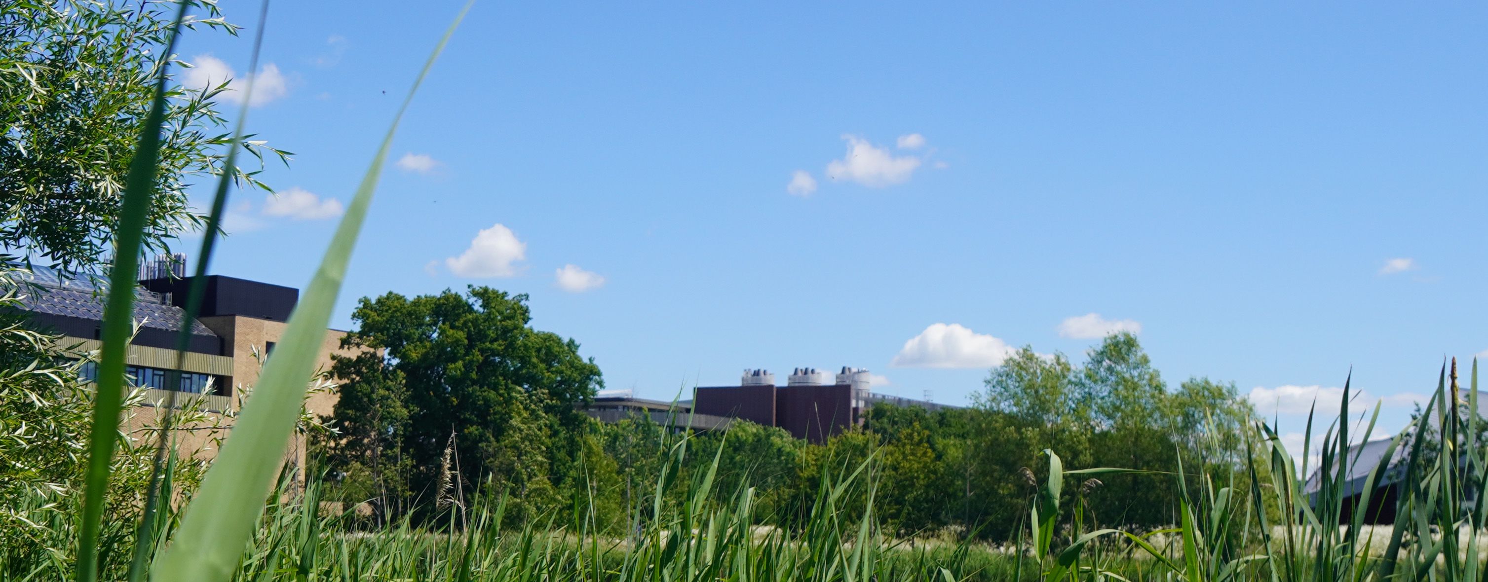 Bright and vivid image of the department from a distance, across the lake on site