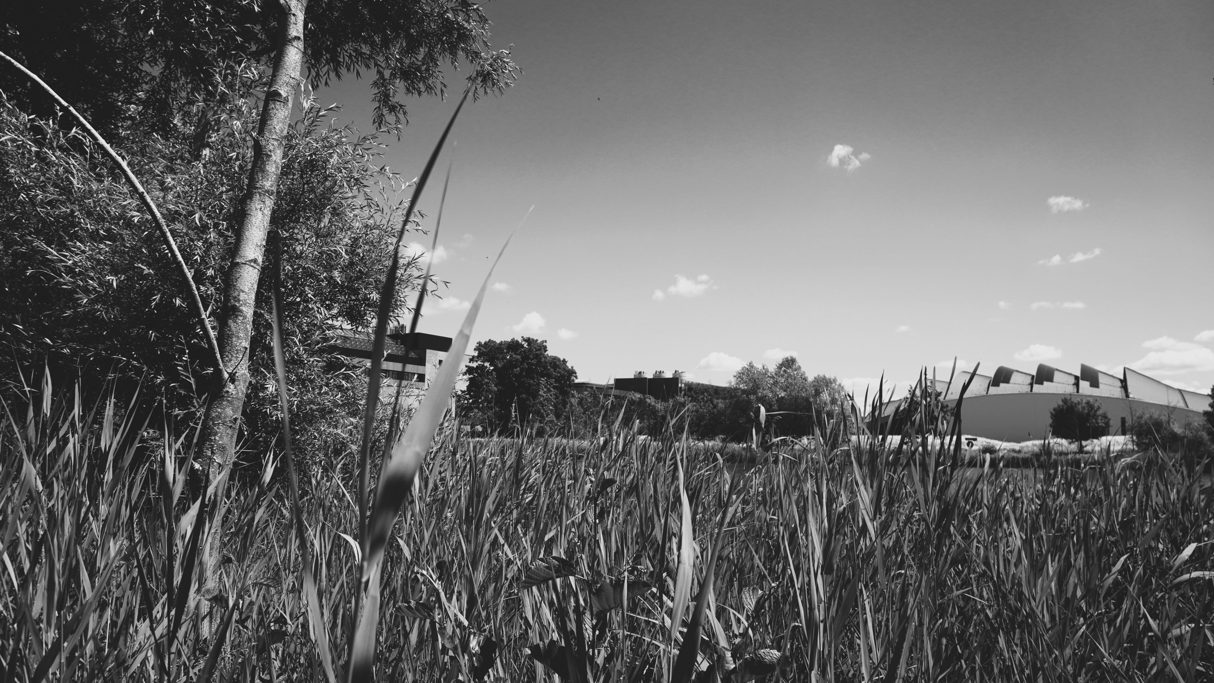 Black and white image of the department from a distance, across the lake on site